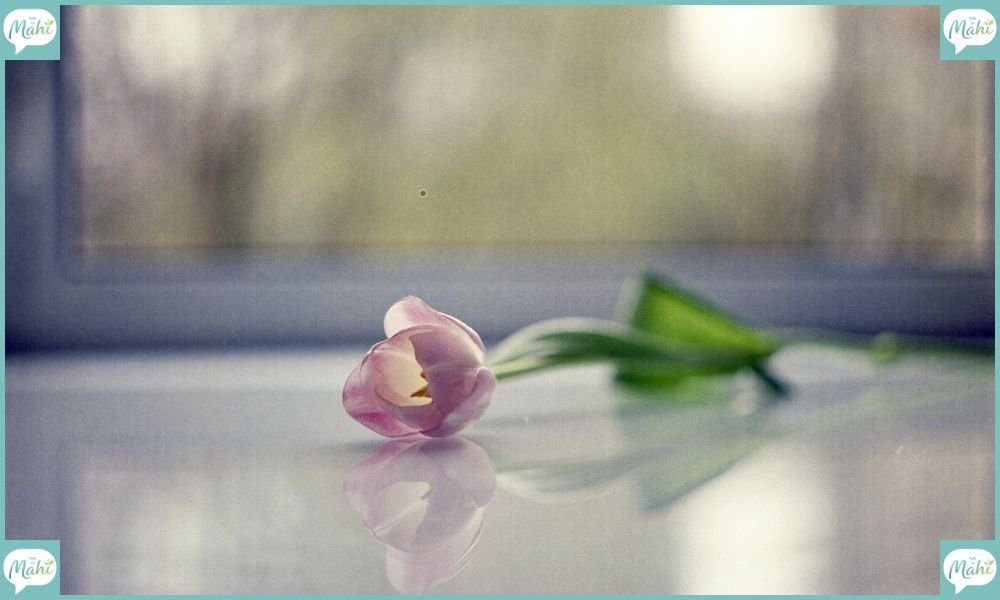 300 Feeling Unappreciated Quotes to Express Your True Feelings
